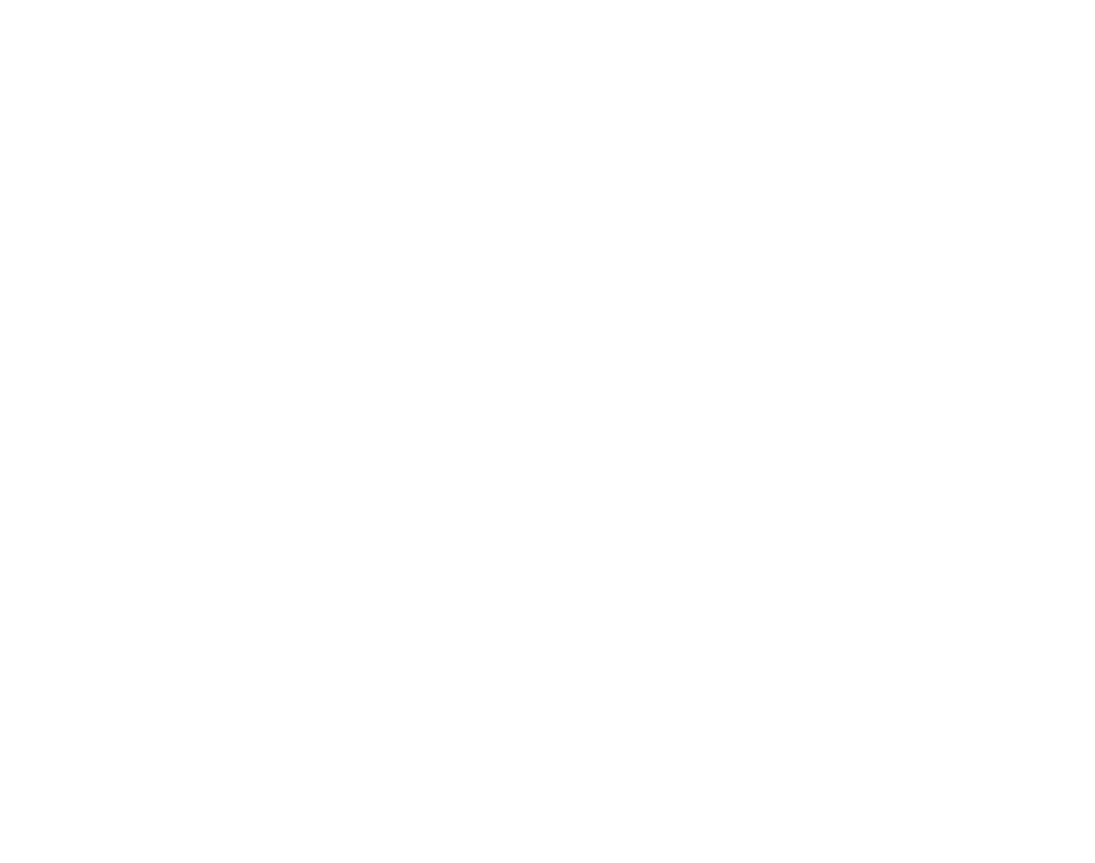 Prestige Air Service